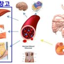 MUT GYM 네이버블로그