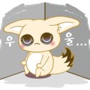 서양포차 이미지