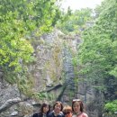 강동아이비의원 이미지