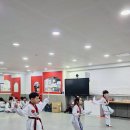 2 베스트 태권도장 이미지