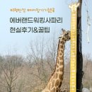 게임토피아 전자오락실 | 에버랜드 워킹사파리 오픈런 안한 현실리뷰와 아이랑 추천 동선 꿀팁