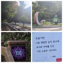 NR-3[평화로]-상-1006 | 소요산 (2023 1006)