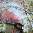 완산체육공원 화장실 이미지