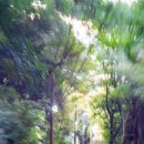 명성자동차공업 | 기타큐슈 사라쿠라산 전망대, 일본 후쿠오카 근교 3대 야경 여행