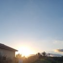 정원해물탕 이미지