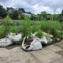 에버주유소 이미지