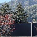 유정식당 이미지