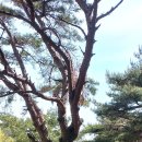 달곡농장 이미지