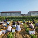 평동농장 이미지