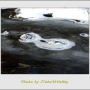 진부리유원지 이미지