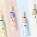 벨라코리아 이미지