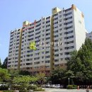 돌마로486번길 이미지