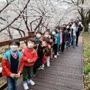 화개초왕성분교 이미지