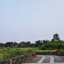 리버풀앤스파 이미지