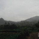 산그리고길