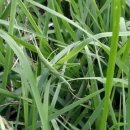 화양 농장 이미지