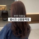 브라운테팔매장(롯데백화점중동점) | 부천 염색 톤다운 전체염색 만족 후기 쌤시크 신중동역점