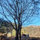 석곡2리 이미지