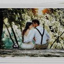 용인동물약국 이미지