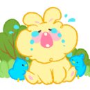 곤충하모니