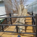 오향리선돌 이미지