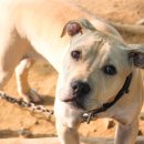 도장골낚시터 이미지