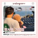 중1동-2 | 부산 갈만한 곳 추천, 청사포와 미포철길 산책! 반려견과 함께 다녀온 부산 여행 코스