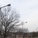 (주)시온승강기 | 안산 욕실 인테리어를 사동 빌라 화장실 천장 수리 후기