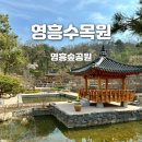 영통로418(은혜와 진리교회) | 영흥수목원 오픈 무료입장 후기, 온실 정조효원 입장료 주차