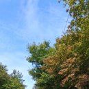 청산도올레펜션 | 청산도올레펜션 5박6일 리얼 후기, 별 보고 단풍길 걷고 낚시까지 했던 여행