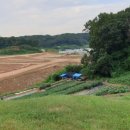 한백륜 묘역 이미지