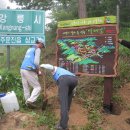 종합  안내판 이미지