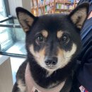 낙성대지구대 이미지