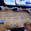 뮤지엄호두 | 천안시티투어 천안뮤지엄호두, 천안안전체험관, 천안 박물관 다녀온 후기 !