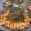 제주오두껍 이미지