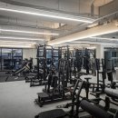 프리미엄 스퀘어짐 이미지