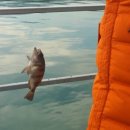 해와달해양낚시공원 이미지