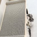 멍냥이노리터 이미지