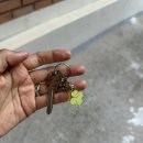 슬로우모스테디커피
