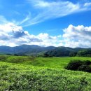 한우목장 이미지