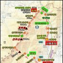 3월13일(토) 구례 견두산 봄꽃트레킹 산수유 시목지 특별여행 이미지