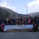 붕새날다 이미지