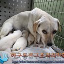 월산암요양병원 이미지