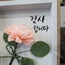 마장태권도체육관 이미지