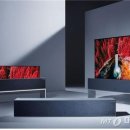 디자인올 머니투데이