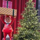 이희광 | 국화꽃 향기 가득한 '조계사 국화화엄축제' 야경