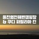 세븐일레븐 울진점 | 경북 울진염전해변캠핑장 오토1번 사이트 후기 (feat. 쿠디 파밀리아 킨 카키)