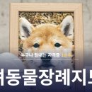 한국반려동물교육원 이미지