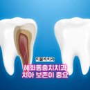 이물비치과의료생활협동조합 이물비치과의원 이미지