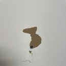 fine thanks | 캐나다 집 벽지 셀프 수리 페인트칠 후기 (+홈디포 추천 상품)